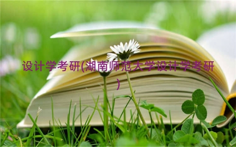 设计学考研(湖南师范大学设计学考研)