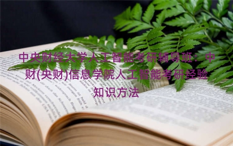 中央财经大学人工智能考研辅导班：中财(央财)信息学院人工智能考研经验知识方法