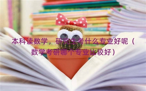 本科读数学，研究生考什么专业好呢（数学考研哪个专业比较好）