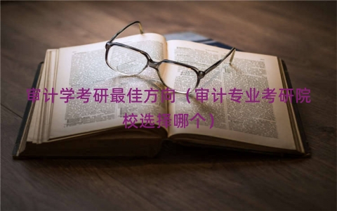 审计学考研最佳方向（审计专业考研院校选择哪个）